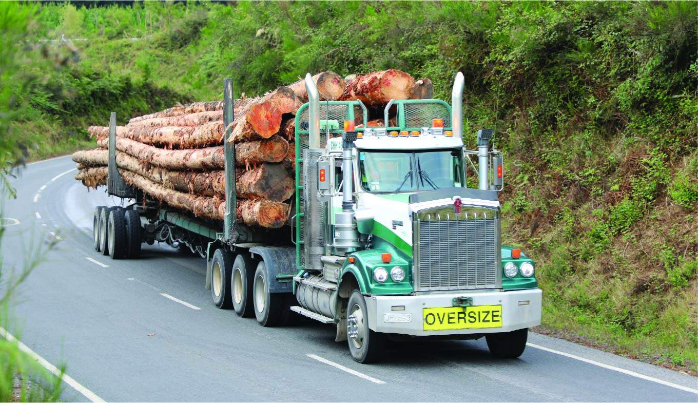 Asset 3@2x-50